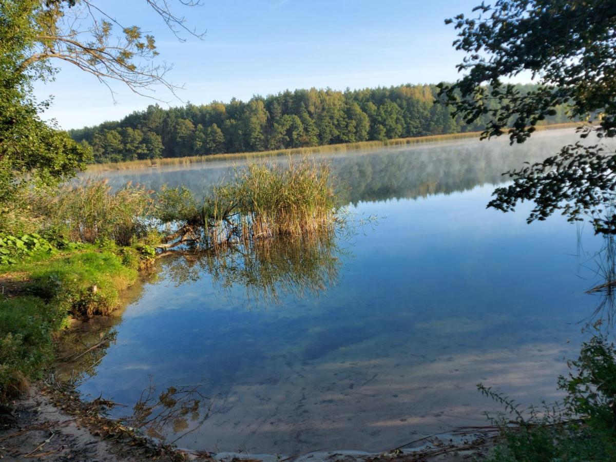 Dom Przy Lesie Villa Wielgie Dış mekan fotoğraf